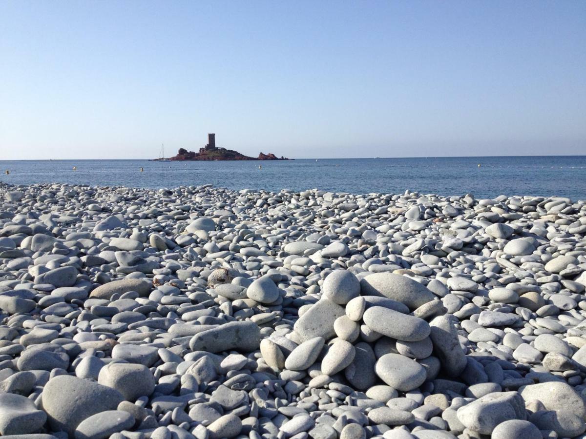 Zen * Fréjus